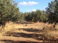 Grundstück kaufen Sternes klein 9jp4y3uxgktm