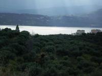 Grundstück kaufen Sternes klein fmkpxmf0v13p