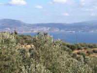 Grundstück kaufen Sternes klein o8yo73r3d59m