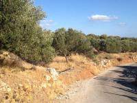 Grundstück kaufen Sternes klein sv7pfqz1b56r