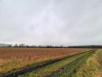 Grundstück kaufen Strausberg klein j4y7l2fipjqw