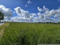 Grundstück kaufen Taura klein y3gs4i1lhth9