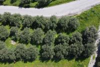 Grundstück kaufen Tavronitis klein 51i679jajui9