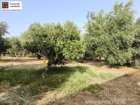 Grundstück kaufen Timpaki Klima klein 01dledxqpbm4