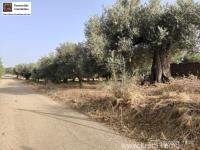 Grundstück kaufen Timpaki Klima klein 60gcegs01ax2