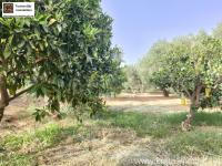 Grundstück kaufen Timpaki Klima klein g79ywqp0ky8f