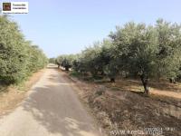 Grundstück kaufen Timpaki Klima klein g7h01dcjlwf4