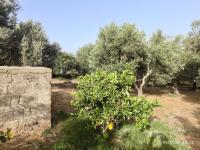 Grundstück kaufen Timpaki Klima klein moiamtnabwfp