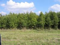 Grundstück kaufen Ungarn klein 2kw5fj1ftuxy