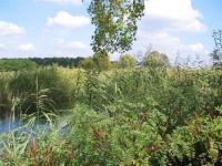 Grundstück kaufen Ungarn klein c5mistqn8tnk