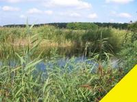 Grundstück kaufen Ungarn klein zkd6qgcroaws