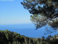 Grundstück kaufen Valdemossa klein 0srqnkbmerdk