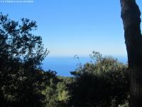 Grundstück kaufen Valdemossa klein 1wpom48if2kc