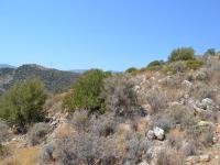 Grundstück kaufen Vathi, Agios Nikolaos, Lasithi, Kreta klein c3nzip2ttav9