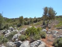 Grundstück kaufen Vathi, Agios Nikolaos, Lasithi, Kreta klein drb8uiaxo36i