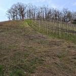 Grundstück kaufen Waigolshausen klein m47e9q3ky402