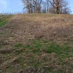 Grundstück kaufen Waigolshausen klein u0cm35exfokp