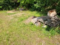 Grundstück kaufen Walkenried klein 1t2n3k0idf6l