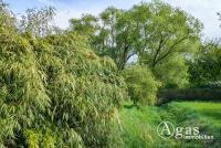 Grundstück kaufen Wandlitz klein bh93t3vtukww