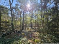 Grundstück kaufen Wandlitz klein cy7efa3gauxw