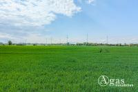 Grundstück kaufen Wandlitz klein xocanf0d7stl