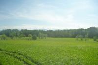 Grundstück kaufen Weilheim in Oberbayern klein 8tox2gsrdlrf