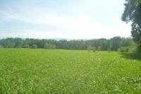 Grundstück kaufen Weilheim in Oberbayern klein c4gkwva7fr4t