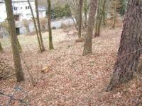 Grundstück kaufen Weilrod klein k1gclx9oauqt