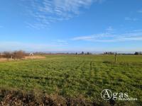 Grundstück kaufen Werder (Havel) klein 59j0qyhcrntl