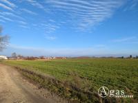 Grundstück kaufen Werder (Havel) klein jqgyav05wkbm