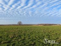 Grundstück kaufen Werder (Havel) klein kido29tsb82s