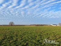 Grundstück kaufen Werder (Havel) klein p97081zolgem