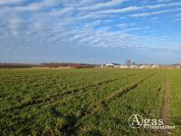 Grundstück kaufen Werder (Havel) klein s18zsbz71fme