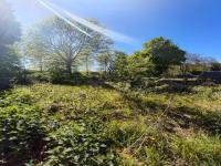 Grundstück kaufen Willich klein tqr2hsvu9prv