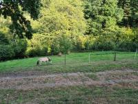 Grundstück kaufen Witzenhausen klein fnw7mvbvzpd3