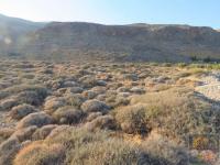 Grundstück kaufen Xerokampos klein vsoexpck01gt