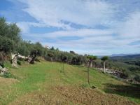 Grundstück kaufen Xirokampi klein zjlqkicm788x