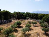 Grundstück kaufen Xirosterni klein ix9lorawjdfu