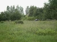 Grundstück kaufen Zörnigall klein g7z69d52i9sl