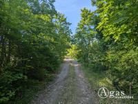 Grundstück mieten Brandenburg an der Havel klein yvebo14mky73