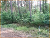 Grundstück mieten Lindow (Mark) klein xoo9hcfq38zp