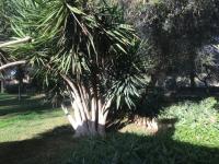 Haus Algaida klein fycsure68k94