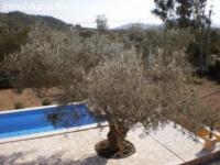 Haus Arta klein uq90bp13v7yu