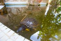 Haus Campos klein 2os5eqo6k0pm