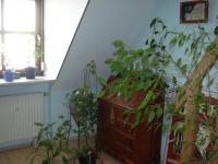 Haus Haimhausen klein 8pz3cjewet01