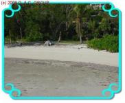 Haus kaufen Abaco - Green Turtle Bay klein b8jm20645zrs