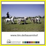 Haus kaufen Abasár klein 1lfvjfmp3kmr