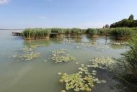 Haus kaufen Abrahámhegy klein 13c1lu0a0rty