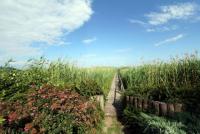 Haus kaufen Abrahámhegy klein plavmo3g9j1x