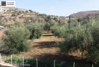Haus kaufen Agios Antonios klein p26ehyjfbk0o